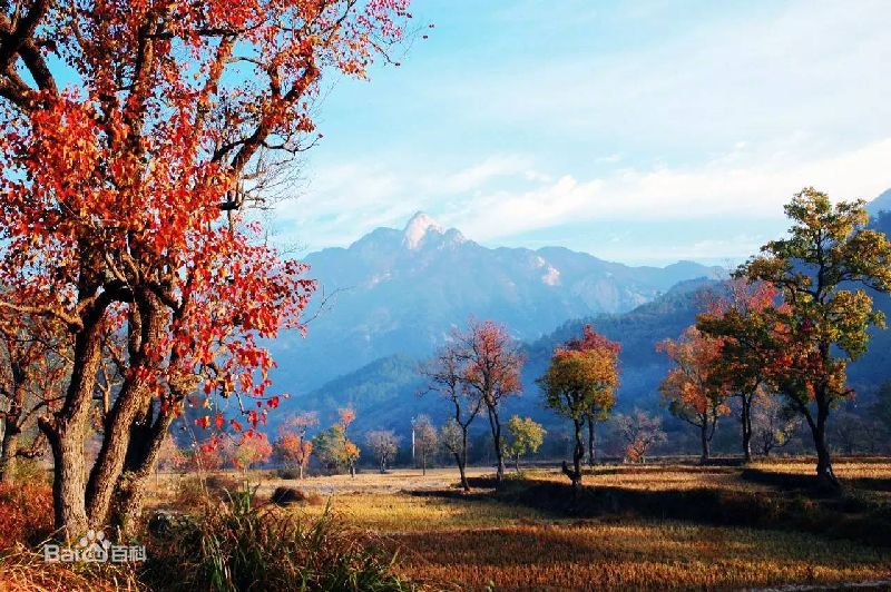 黃岡景色